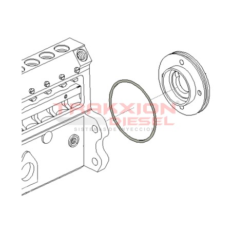 Anillo toroidal de brida Bosch, 1410210018, A41856, 75207969, 397613C1, 8-97263-129-0, 93191324, RE501275, R54873