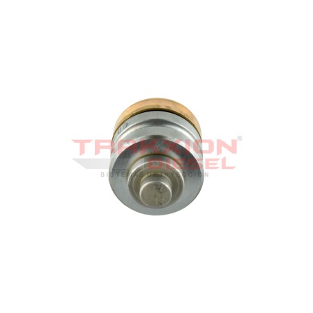 Válvula de presión de bomba lineal MW Diesel 1418512223, 11991347