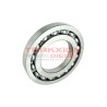 Balero rodamiento de bomba VP44 Diesel Bosch 1460925000, 1460925001, 149114-0000
