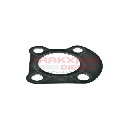 Chapa cubrejunta de bomba VE Diesel Bosch 1461038319, 7701718789