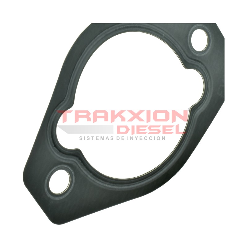 Junta (grande) 339 de Tapa de Avance Bomba de Inyección VE Diesel Original Bosch