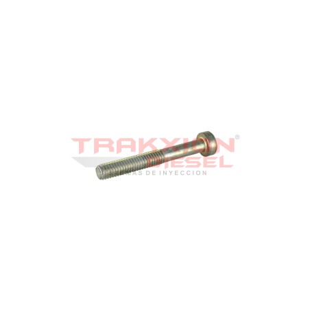 Tornillo Torx de bomba Diesel VE Bosch 1463414312, 1463414361, 8190183, 5000824401, 7701024807, 7701044330, 244931, 068130799B