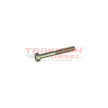 Tornillo Torx de bomba Diesel VE Bosch 1463414312, 1463414361, 8190183, 5000824401, 7701024807, 7701044330, 244931, 068130799B 2