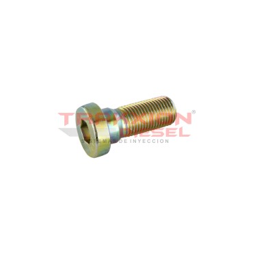 Tapón roscado de bomba Diesel VP29/30 Bosch 1463462306, F00N350350 2