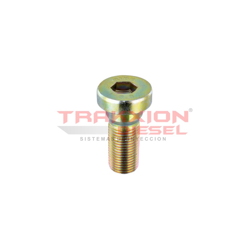 Tapón roscado de bomba Diesel VP29/30 Bosch 1463462306, F00N350350