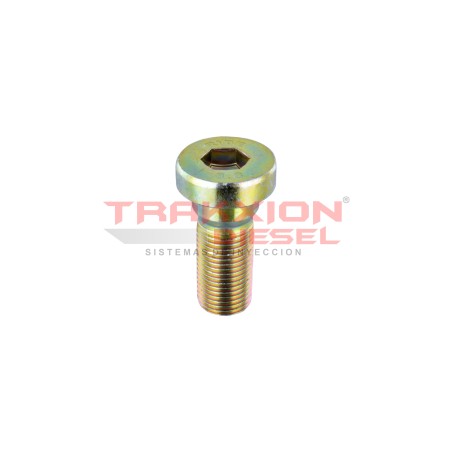 Tapón roscado de bomba Diesel VP29/30 Bosch 1463462306, F00N350350