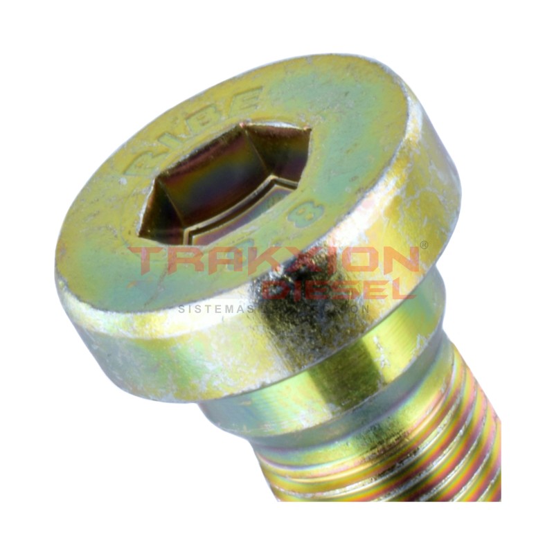 Tapón roscado de bomba Diesel VP29/30 Bosch 1463462306, F00N350350