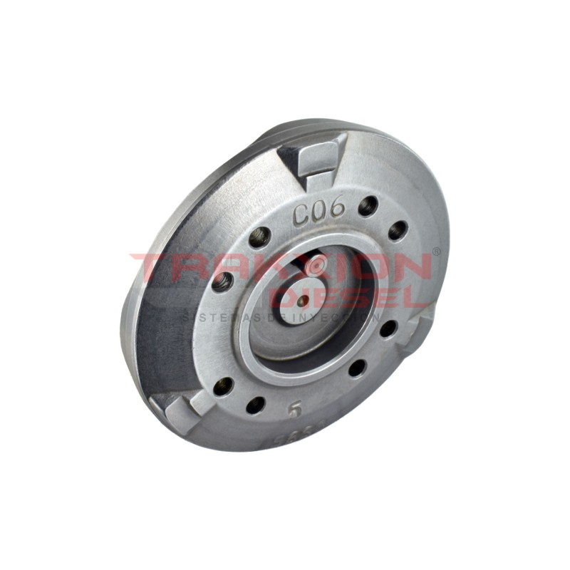 Disco de levas de bomba Diesel VE Bosch  1466110619