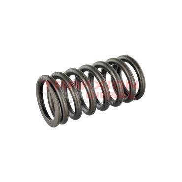 Muelle de compresión de bomba Diesel Bosch 2414619011, 2Y8420, 1309474, 42493100, 93156165, 931566165, A0059930701, OD19820 2