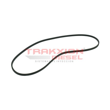 Junta de gobernador de bomba lineal Diesel Bosch 2420206003, 93156692, 1318934, 81119050028, 367612, 862443, 11996356 2