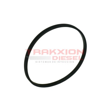 Junta de TPS de bomba lineal Diesel Bosch 2420206007, 93163737, 1319324, 93163737, 81966010599, 1400477, 11705808, 5001826276 2