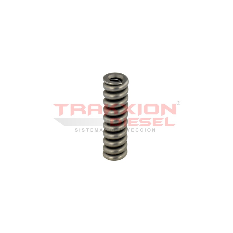 Muelle de compresión resorte de inyector Diesel Bosch 2434614040, 2434614055, 1319041, A0000172117, A0000177217, 1407837