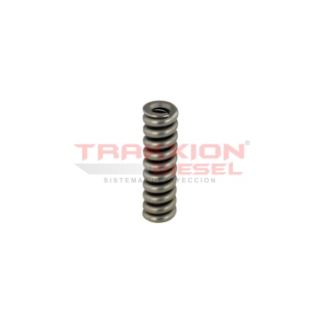 Muelle de compresión resorte de inyector Diesel Bosch 2434614040, 2434614055, 1319041, A0000172117, A0000177217, 1407837