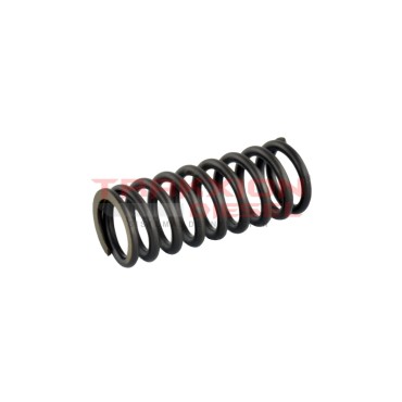 Muelle de compresión de bomba Diesel Bosch 2444618008, 067886, 9971856, 1319128, 81976020663 2
