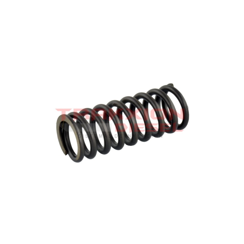 Muelle de compresión de bomba Diesel Bosch 2444618008, 067886, 9971856, 1319128, 81976020663