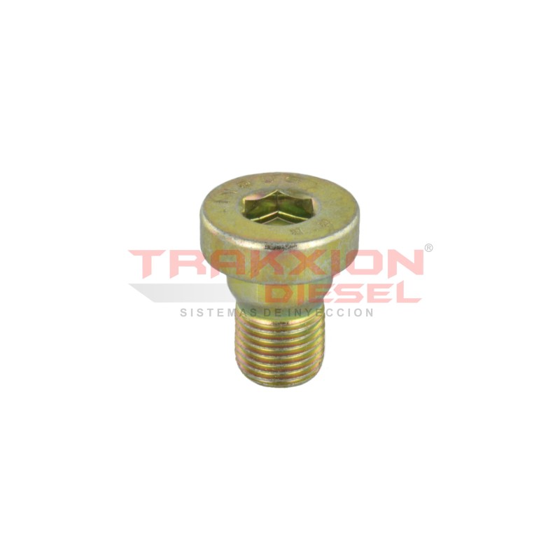 Tapón roscado de bomba Diesel Bosch 2463462001