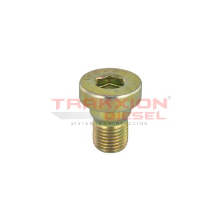 Tapón roscado de bomba Diesel Bosch 2463462001