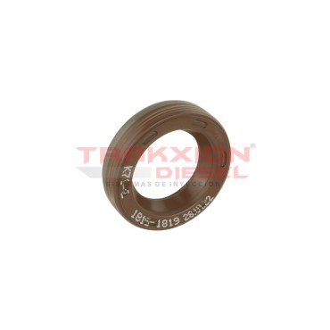 Retén 20x31mm de bomba CP1 Diesel Bosch F00R0P0253, F01M101475, 5600679386, 8200760832, 5600-67-9386 2