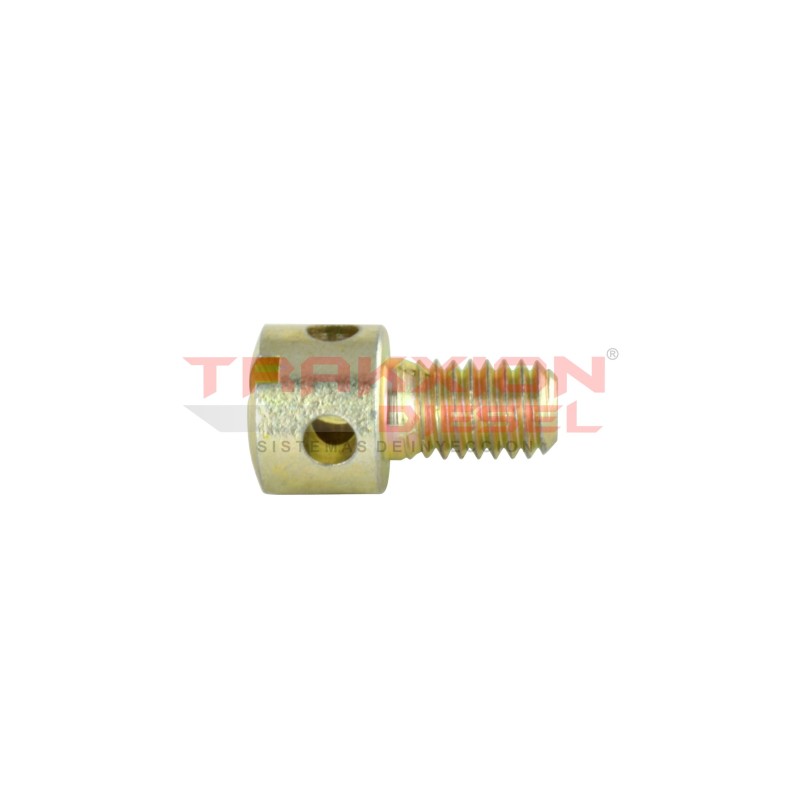 Tornillo cabeza taladrada de bomba Diesel Bosch, 2910172191, 1309060, 2Y8407, 313715, 42484946, 5000802668, 6210714, 9985427