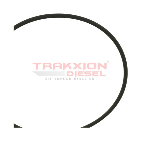 Anillo toroidal liga F01M100371 de bomba CP1 Diesel Bosch