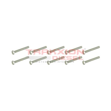 Paquete de 10 pzs tornillo de cabezal hexagonal Delphi CAV, 5334-267J, 5334-274J, 5000816754