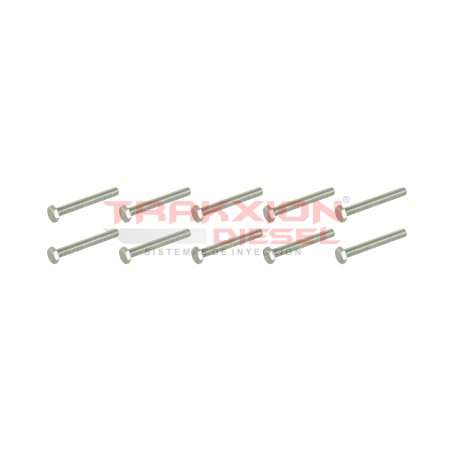 Paquete de 10 pzs tornillo de cabezal hexagonal Delphi CAV, 5334-267J, 5334-274J, 5000816754 Paquete de 10 pzs tornillo de cabezal hexagonal Delphi CAV, 5334-267J, 5334-274J, 5000816754