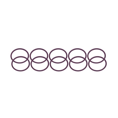 Paquete 10 pz, Liga tórica violeta 7200-016, 7200-0054 de inyector Diesel EUI Delphi para D12 Volvo 1677319