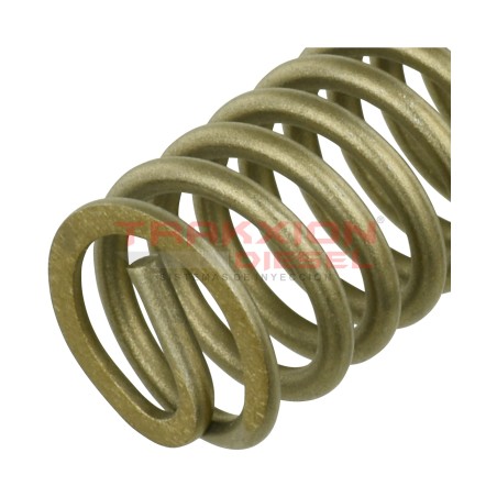 Resorte de tapa de gobernador 11997, 17997, T15700 de bomba Diesel Stanadyne