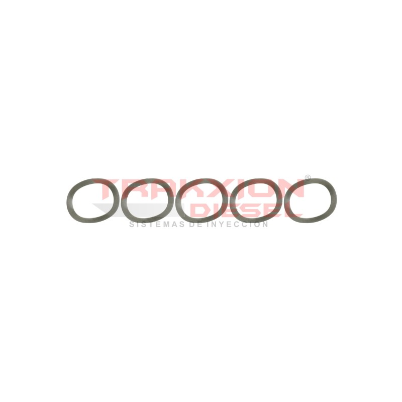 Set de 5 rondana de flecha 21522, 18055211, 1805521C1 de bomba Diesel Stanadyne