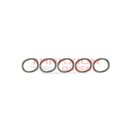 Set de 5 rondana de flecha 21522, 18055211, 1805521C1 de bomba Diesel Stanadyne