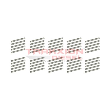 Paquete de 50 pernos pasador largo de inyector HEUI Diesel, Dipaco DPS0009 para 7.3 PowerStroke Ford, DT466 I530 Navistar 2