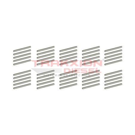 Paquete de 50 pernos pasador largo de inyector HEUI Diesel, Dipaco DPS0009 para 7.3 PowerStroke Ford, DT466 I530 Navistar