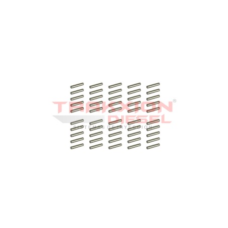 Paquete de 50 pernos pasador corto de inyector HEUI Diesel, Dipaco DPS0013 para 7.3 PowerStroke Ford, DT466 I530 Navistar