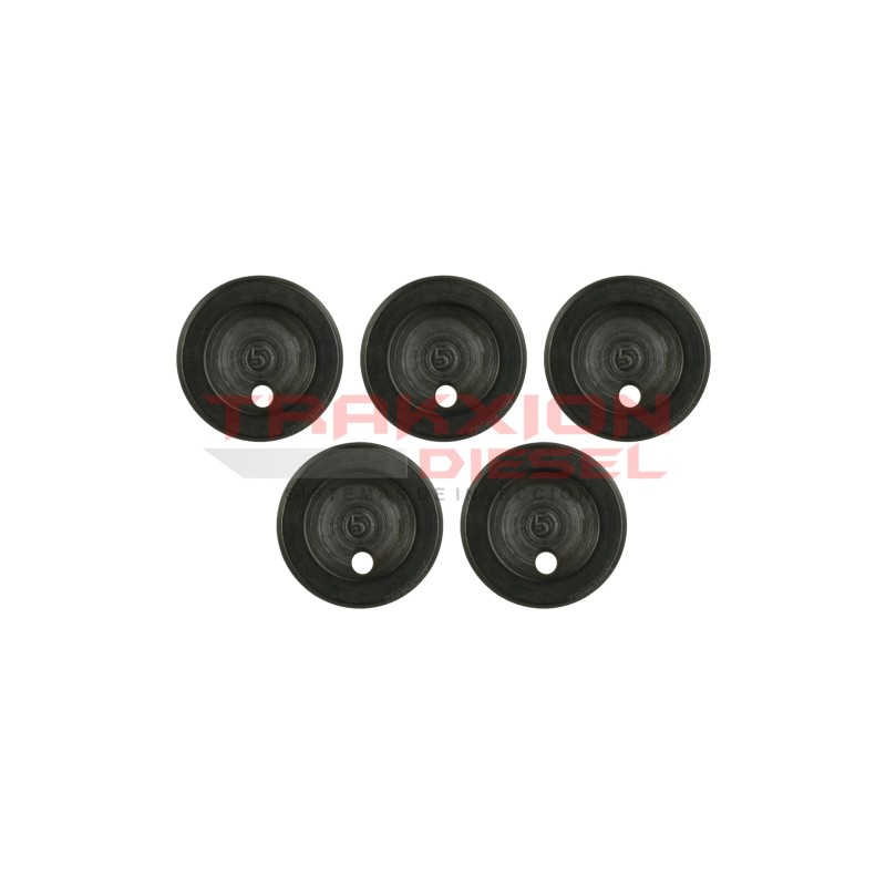 Set 5 placa de fase 788411 de Bomba Diesel Stanadyne