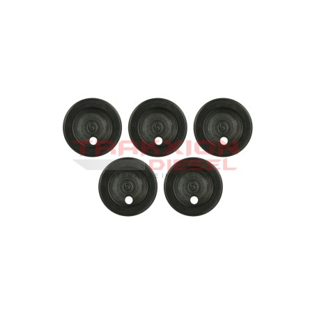 Set 5 placa de fase 788411 de Bomba Diesel Stanadyne