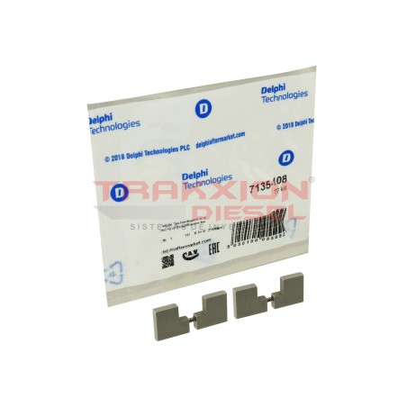 Kit de aspas 7135-108, 7135-108A, 9002-289 de bomba Diesel DPS, DP200, DP210, DP310, CAV Delphi Kit de aspas 7135-108, 7135-108A, 9002-289 de bomba Diesel DPS, DP200, DP210, DP310, CAV Delphi