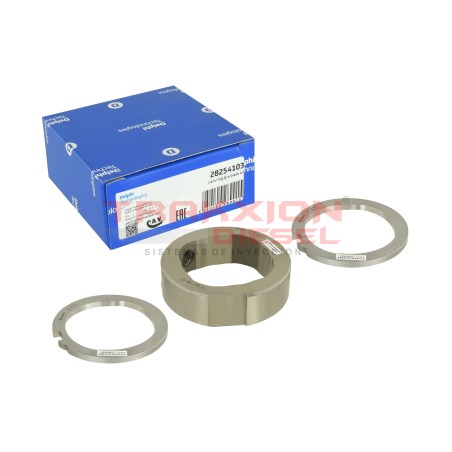 Conjunto Anillo Aro de Levas 934C y Placas de bomba Diesel Delphi 7189-100DN