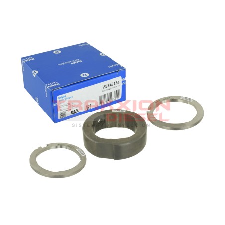 Conjunto anillo aro de levas y placas de bomba Diesel Delphi, 28345161