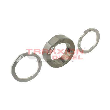 Conjunto anillo aro de levas y placas de bomba Diesel Delphi, 28369010