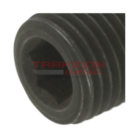 Tapón de placa final 15228 de bomba Diesel Stanadyne, C5209, K4879C, R34623
