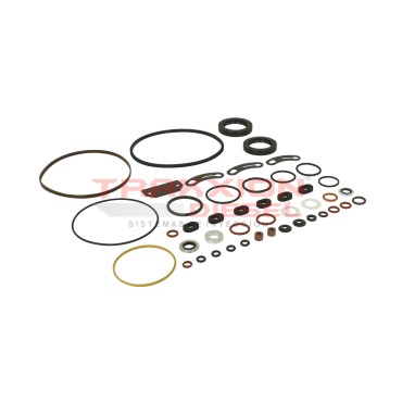 Kit juego de juntas 20019, 20551, 24372 de bomba Diesel Stanadyne 2
