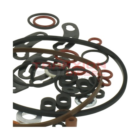 Kit juego de juntas 20019, 20551, 24372 de bomba Diesel Stanadyne