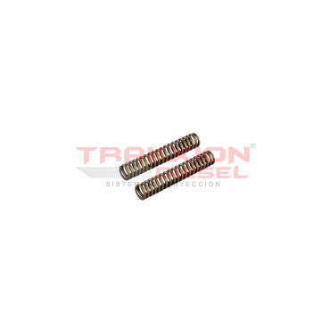 Set de 2 resorte de cabezal 41781 de bomba Diesel Stanadyne