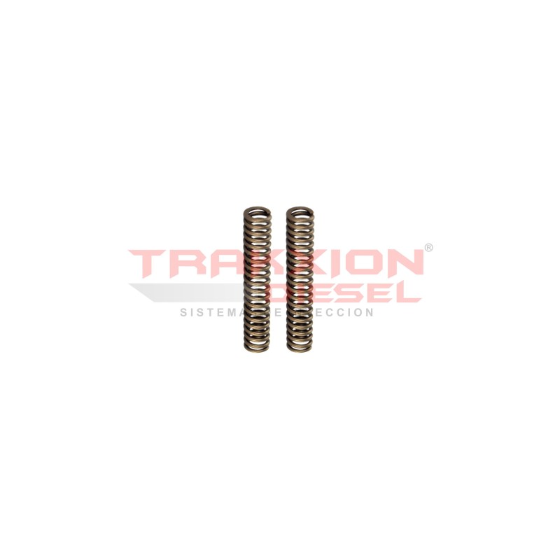 Set de 2 resorte de cabezal 41781 de bomba Diesel Stanadyne