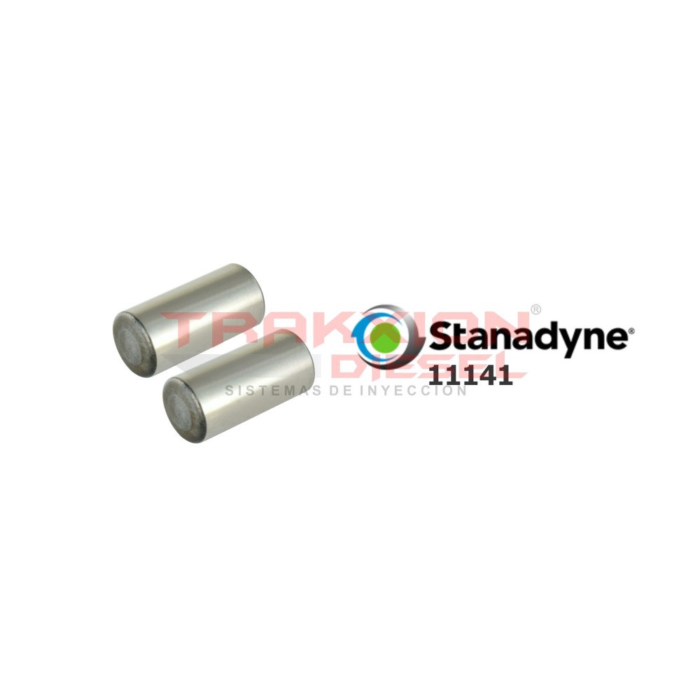 Kit de 2 rodillos 11141, 21196, T11886 de bomba Diesel Stanadyne