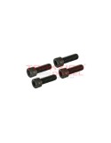 Set de 4 tornillo de cabeza hueca 33012 de bomba Diesel Stanadyne