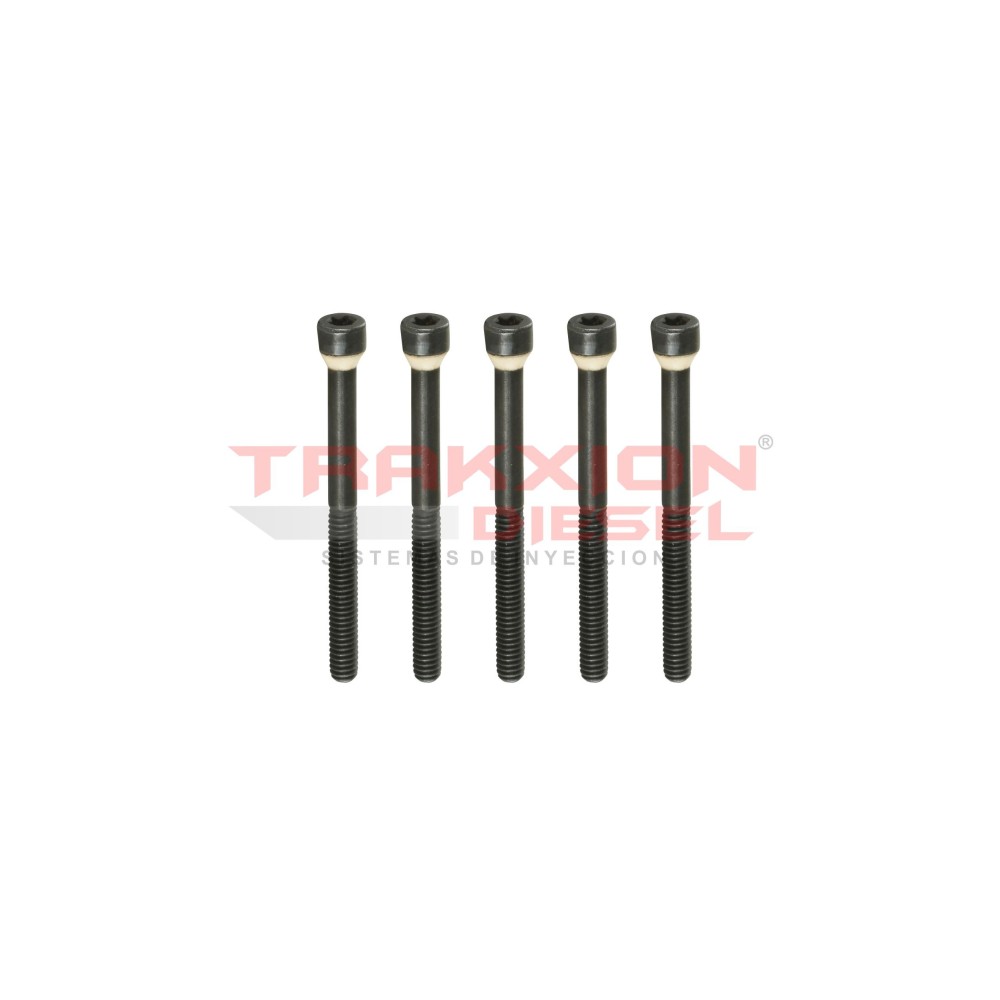 Set de 5 tornillo 30090 cabeza de vaso de bomba Diesel Stanadyne