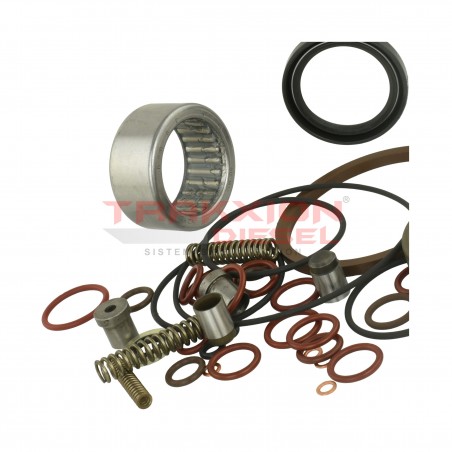 Juego de juntas de bomba Diesel Stanadyne 36476