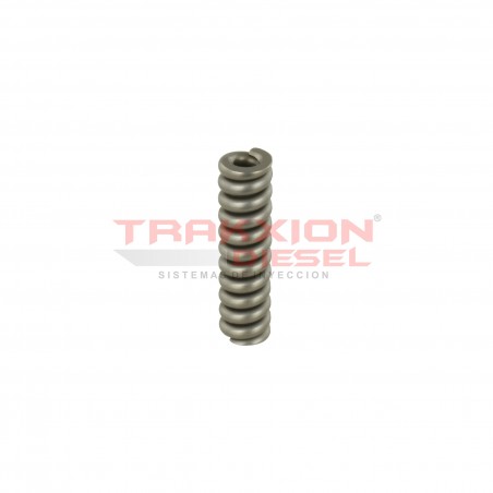 Resorte 24217, 780080, 781720 de inyector Diesel Stanadyne