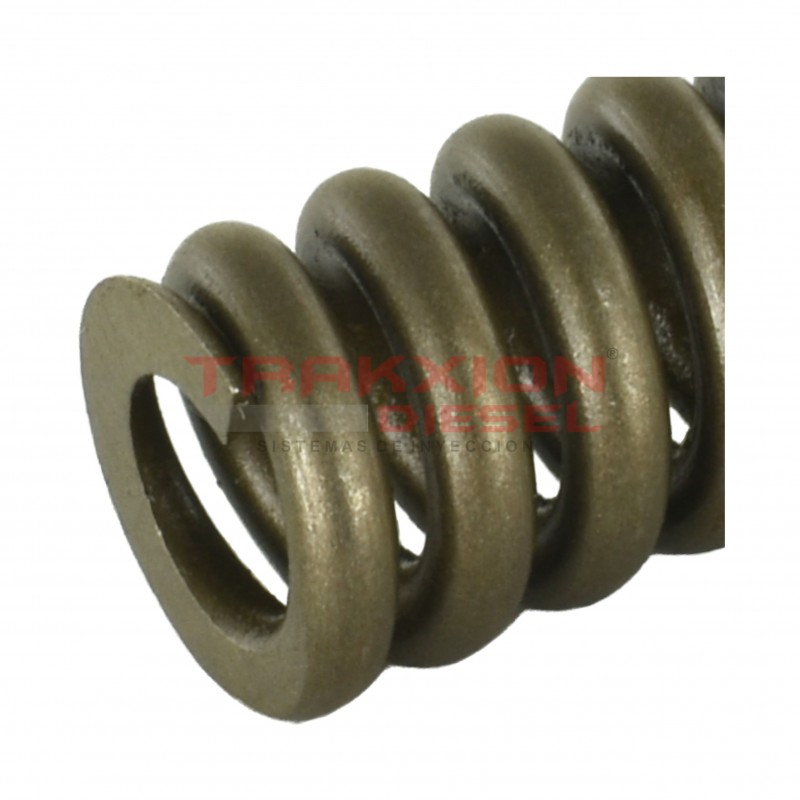 Set 10 resorte de presión de tobera de inyector Diesel HEUI AD, BI, BN para 7.3 PowerStroke Ford, T444E Navistar DPS0023